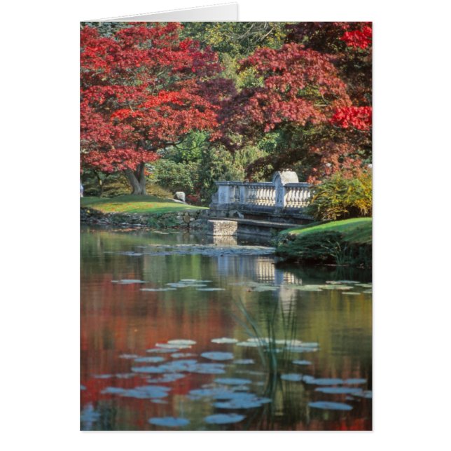 Stone Bridge Card (Vorne)