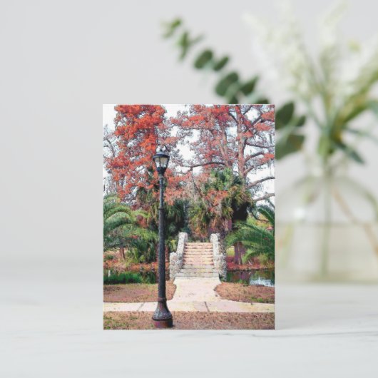 Stone Bridge Parco Civico-Ciani Postkarte (Stehend Vorderseite)