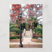 Stone Bridge Parco Civico-Ciani Postkarte (Vorderseite)