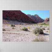 Stone Circle Red Rock Canyon Poster (Vorne)