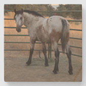 Stone Coaster_appy backside Steinuntersetzer (Vorderseite)