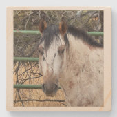 Stone Coaster- Happy Appy Steinuntersetzer (Vorderseite)