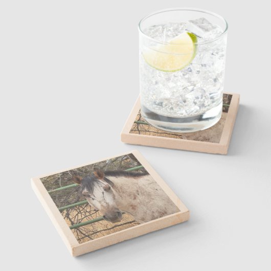 Stone Coaster- Happy Appy Steinuntersetzer (Seitenansicht)