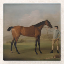 Stone Coaster Reitsport
