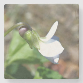 Stone Coaster Steinuntersetzer