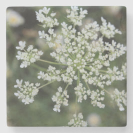 Stone Coaster Steinuntersetzer