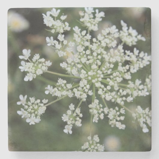 Stone Coaster Steinuntersetzer (Vorderseite)