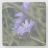 Stone Coaster Steinuntersetzer (Vorderseite)