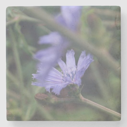 Stone Coaster Steinuntersetzer (Vorderseite)