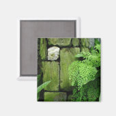 Stone Garden - Magnet #1 (Vorderseite/Rückseite)
