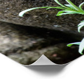 Stone Garden Statue with flower Poster (Ecke)