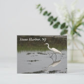 Stone Harbor Egret Postkarte (Stehend Vorderseite)