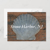 Stone Harbour Scallop Muschel Postkarte (Vorne/Hinten)