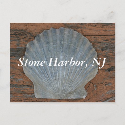 Stone Harbour Scallop Muschel Postkarte (Vorderseite)