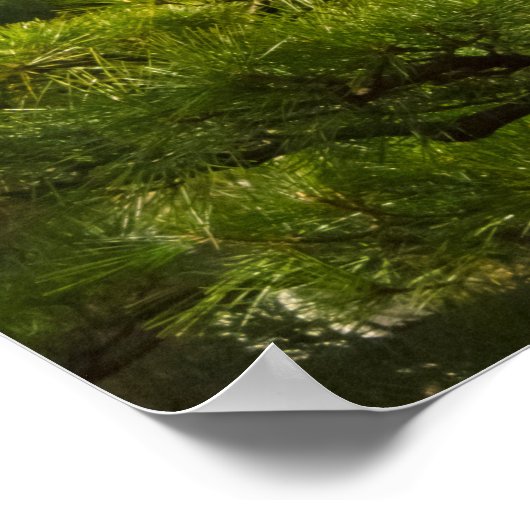 Stone Lantern and Torii Gate Poster (Ecke)