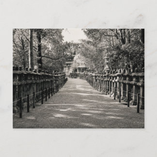 Stone Lantern Path at a Japanese Shrine – Black an Postkarte