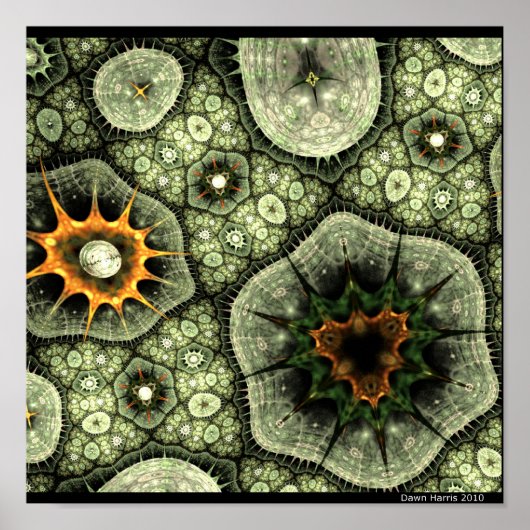 Stone Lichen Poster (Vorne)