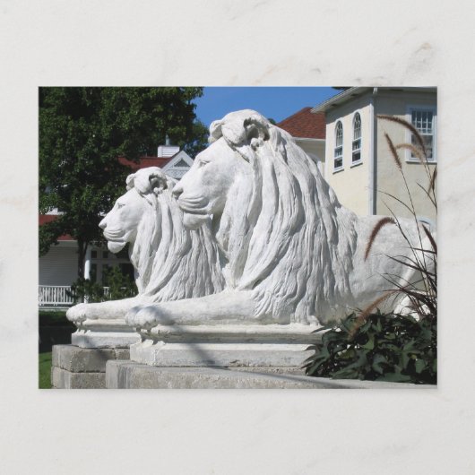 Stone Lions Postkarte (Vorderseite)