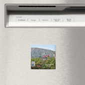 Stone Mountain Georgia Magnet (In Situ (Geschirrspüler))