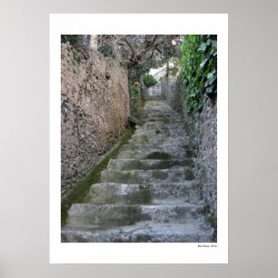 Stone Steps Poster
