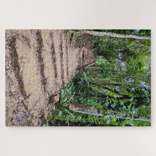 Stone Steps Through Green Puzzle (Horizontal)