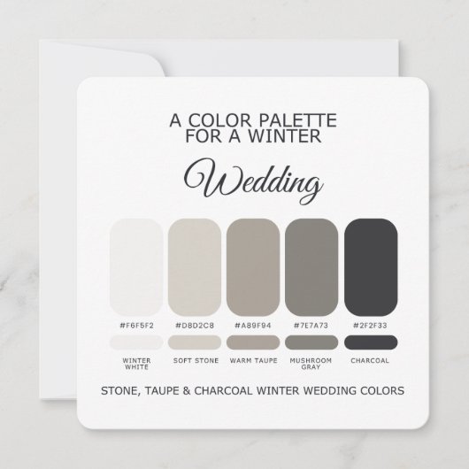Stone Taupe Charcoal Winter Wedding Palette Card Einladung (Vorderseite)
