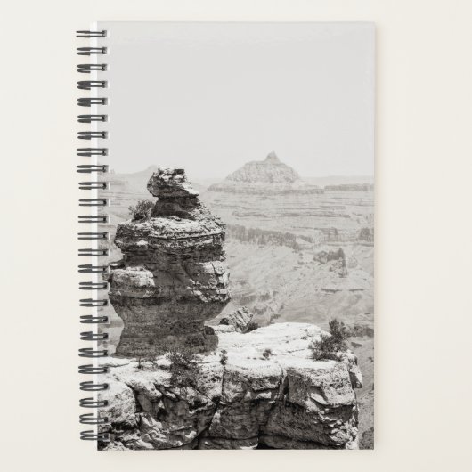 Stone Tempels Planer (Vorderseite)