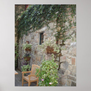 Stone und Ivy Print Poster