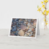 Stone und Rock Background Karte (Gelbe Blume)