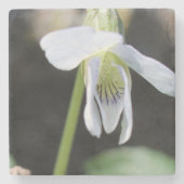 Stone Untersetzer (Vorderseite)