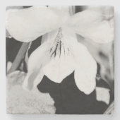 Stone Untersetzer (Vorderseite)