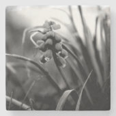 Stone Untersetzer (Vorderseite)