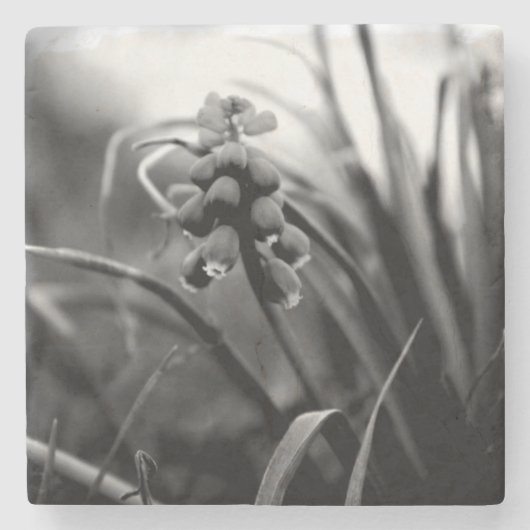 Stone Untersetzer (Vorderseite)