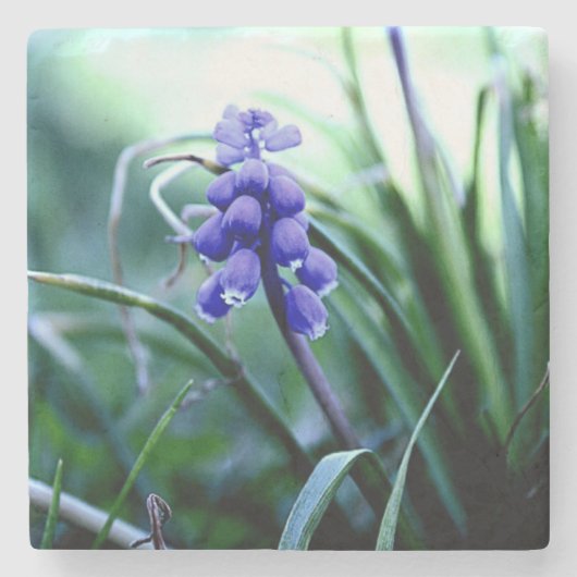 Stone Untersetzer (Vorderseite)