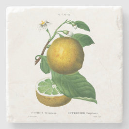 STONE UNTERSETZER: GRAPEN: REDOUTÉ STEINUNTERSETZER