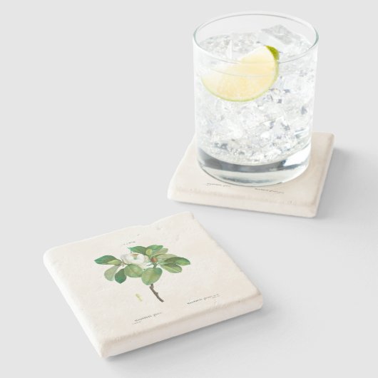 STONE UNTERSETZER: MAGNOLIA: REDOUTÉ STEINUNTERSETZER (Seitenansicht)