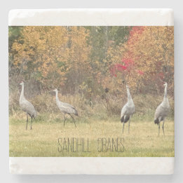 Stone Untersetzer - Sandhill Cranes