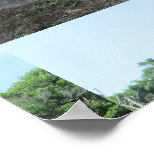 Stone Wall Block Island Poster (Ecke)