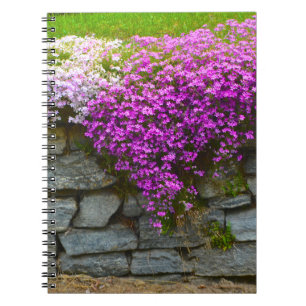 Stone Wall & Phlox Notebook Notizblock
