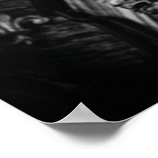 Stone Wings Skull Poster (Ecke)