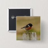 Stonechat Abzeichen Button (Vorne & Hinten)