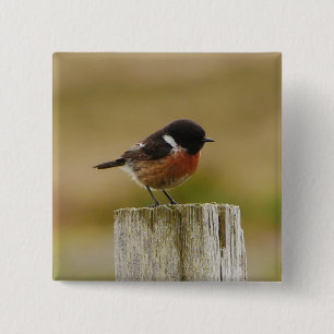 Stonechat Abzeichen Button