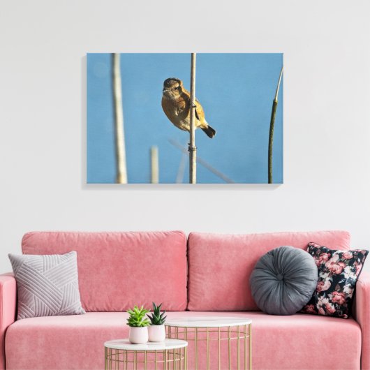 Stonechat Leinwanddruck (Insitu (Wohnzimmer))