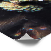 Stonefish Poster (Ecke)