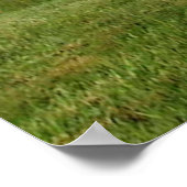 Stonehenge Dragon Poster (Ecke)