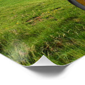 Stonehenge Mediation Poster (Ecke)