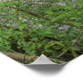 Stone's River Poster (Ecke)