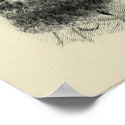 Stonewall Jackson Poster (Ecke)