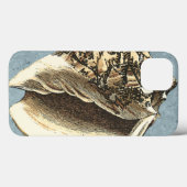 Stonewashed Tritonshorn-Muschel Case-Mate iPhone Hülle (Rückseite (Horizontal))