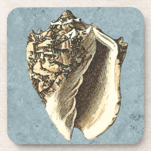 Stonewashed Tritonshorn-Muschel Getränkeuntersetzer